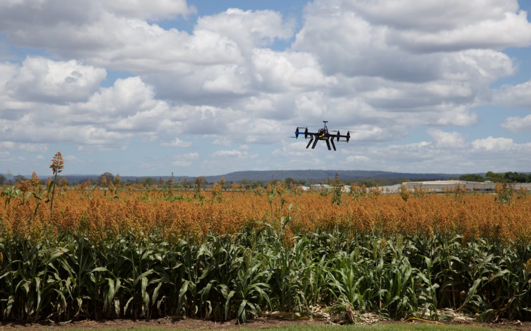 5G-Modellprojekt – Stiftung will gemeinsam mit Partnern die intelligente Landwirtschaft im Landkreis Northeim voranbringen