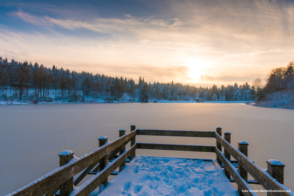 shutterstock_1234048072_Fotonachweis